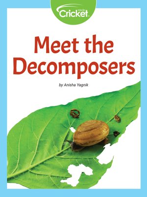 cover image of Meet the Decomposers